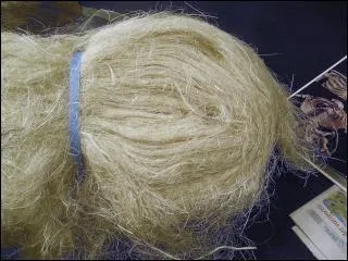 Les cheveux 'filasses' sont ...