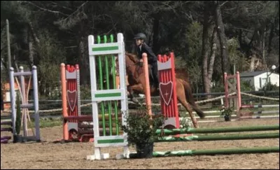 Le hunter, c'est... (2 réponses sont possibles, mais la plus précise est validée)