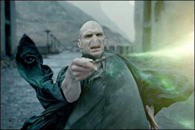 Comment s'appelle le serpent de Voldemort ?