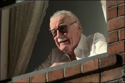 Dans le caméo de Stan Lee dans Spiderman : Homecoming, comment s'appelle la femme à qui le personnage de Stan Lee s'adresse ?