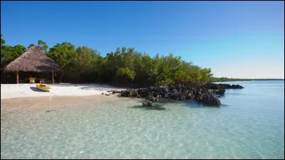 Quel est le drapeau du Mozambique ?