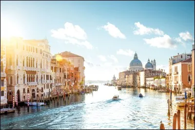 Je suis un pays très connu pour mes spécialités culinaires, ma capitale est Rome, je suis en Europe et dans l'Union européenne, ma monnaie est l'euro, qui suis-je ?