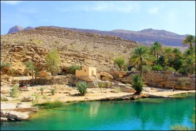 Je suis dans le continent asiatique, ma capitale est Mascate, la langue de mon pays est l'arabe, qui suis-je ?