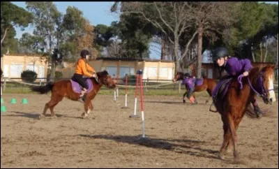 Ton moniteur te laisse choisir ta monture à condition que ce soit un poney, tu...