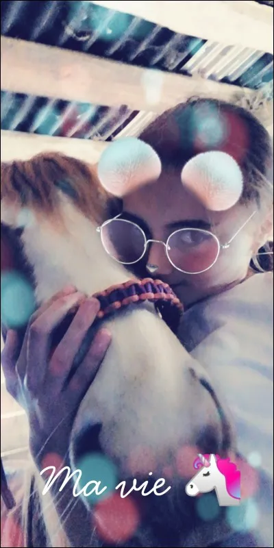 Comment préfères-tu les poneys/chevaux ?