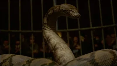 Quel professeur est suspendu au-dessus d'une table puis tué par Voldemort et donné en pâture à Nagini ?