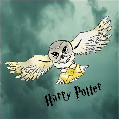 Que fait Dobby en premier pour empêcher Harry de retourner à Poudlard (HP2) ?