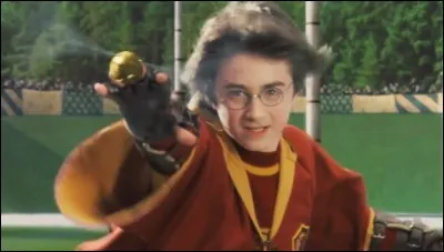 Quels sont les scores finaux Irlande/Bulgarie à la fin de la Coupe du Monde de quidditch (HP4) ?