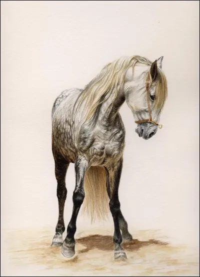 Lequel de ces mots n'appartient pas aux jambes d'un cheval ?