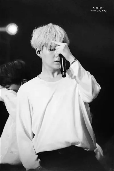 Parmi les vocalistes, quelle est la voix qu'il aime le plus ?