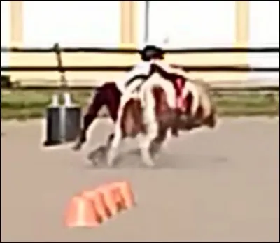 Quand on tombe, il faut toujours remonter :