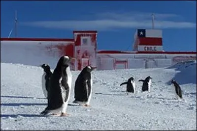 À quelle latitude se trouve le point le plus au nord de l'Antarctique ?