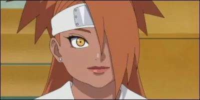 Qui est la mère de Chôchô Akimichi ?