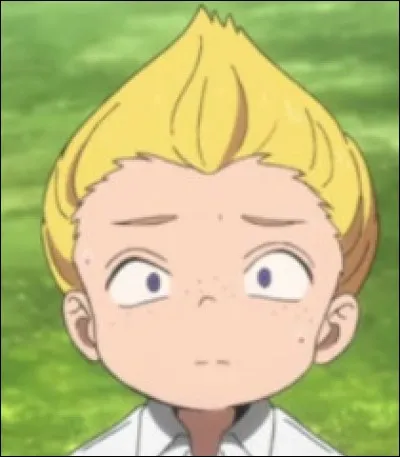 Quel est le surnom que donne l'inconnu à Lannion ?