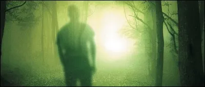 Et que sont ces créatures, au fait ? (celles de la question 8)