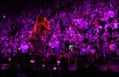 Quelle tournée n'a-t-elle pas effectuée ?