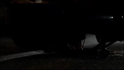 Dans l'épisode 11, Elena est sauvée du mystérieux vampire par…