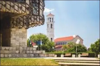 Drapeau ~ Quelle est la particularité de ce drapeau ?