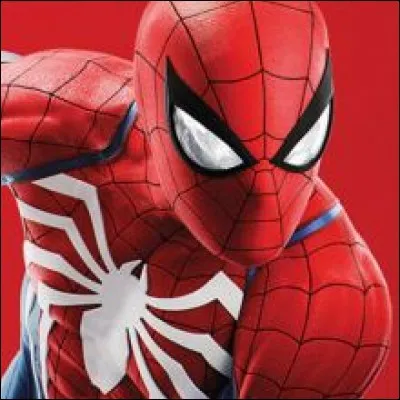 Quel acteur incarne Spider-Man (Homecoming et bientôt Far From Home) ?