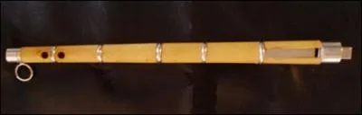 Quel est cet instrument ?