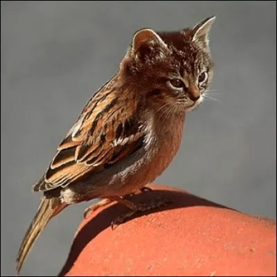 Un battement de cils les rapprocha !