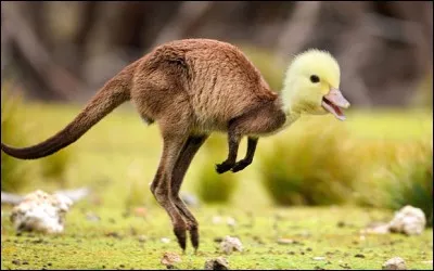 Il l'a attaquée par derrière !