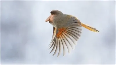 Ils se sont rencontrés par hasard !