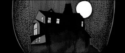 De quoi parle le roman "Salem" ?