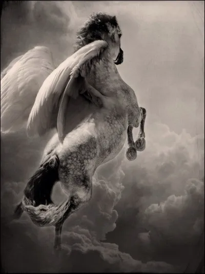 Quel héros grec se servit de ce coursier merveilleux nommé Pégase pour combattre la Chimère ?