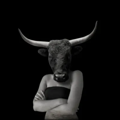 Qui est la mère du Minotaure ?