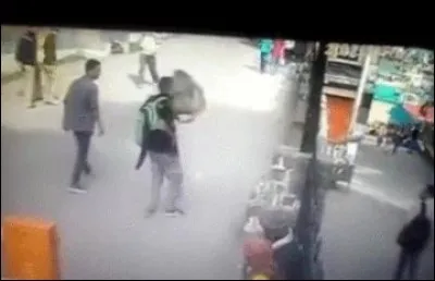 Exploitation animale (3) > Voilà ce qu'il en coûte de payer pour un "spectacle" réalisé aux dépens de ses congénères ! Mais de quel animal s'agit-il ?