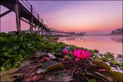 Réservoir dans la station balnéaire Hua Hin : cet endroit est l'un des séjours balnéaires les plus connus du pays. Il s'agit de la retraite favorite de l'aristocratie pendant les chaleurs estivales.
Hua Hin se distingue également en ce qu'elle est la plus ancienne station balnéaire du pays que vous devez trouver.