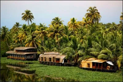 À la pointe sud du pays, l'État du Kerala se tourne résolument vers le tourisme, voire l'écotourisme. La photo montre des habitations flottantes sur le lac Vembanad. Les houseboats ressemblent à une barge asiatique recouverte d'un toit arrondi en palmes tressées, équipés d'1 ou 2 chambres à coucher. 
Dans quel pays voit-on ces maisons sous leurs frondaisons épaisses de cocotiers et de bananiers ?