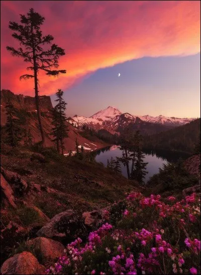 Coucher de soleil au mont Baker, dans lÉtat de Washington. Photo de Danny Seidman, qui décrit très bien ce qui est arrivé : ''The clouds overhead glowed red and the entire landscape became soaked in this color for its entire duration''.
Dans quel pays cette jolie photo a-t-elle été prise ?