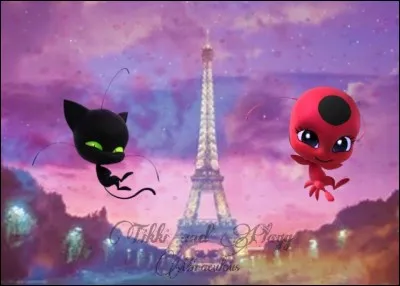 Quel est le surnom que Plagg donne à Tikki ?