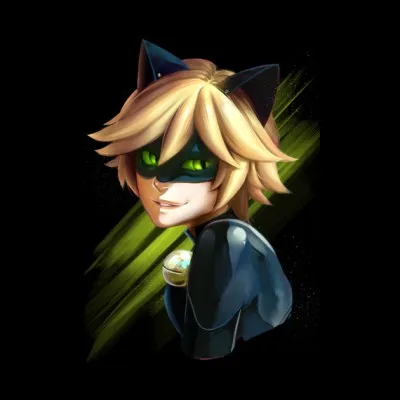 Quel est le surnom de Chat Noir par Ladybug ?