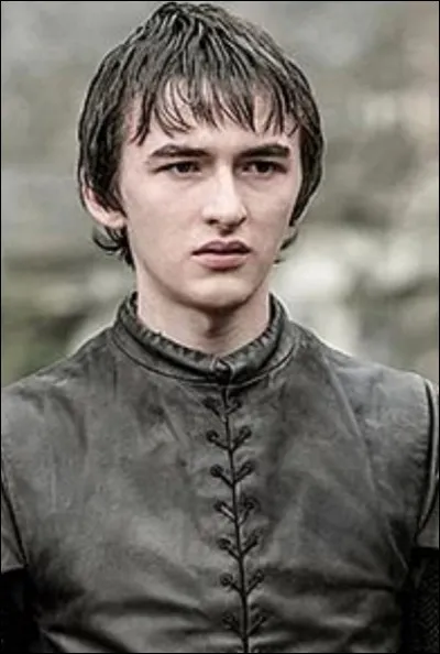 Quel pouvoir possède Bran ?