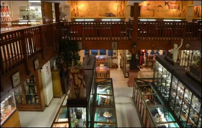 À l'histoire de quel domaine le musée Testut-Latarjet est-il consacré ?