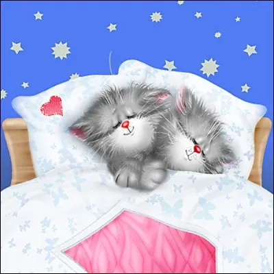 Où est mon second, pour que vous soyez grillé par mon tout ?