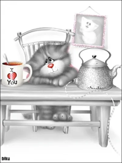 Dans tout le quiz, mon premier sera le chat sur l'image, je ne le répèterai plus. Où est mon second pour que mon tout vous fasse pleurer ?