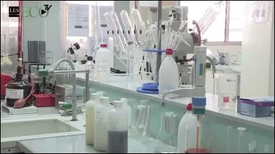 "Microscopique" et "macroscopique" sont-ils des termes contradictoires ?