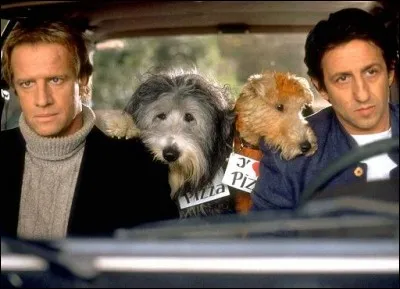 Dans quel film peut-on le voir ainsi ?