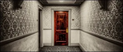 Dans quelle chambre ne faut-il surtout pas rentrer dans le roman "Shining" ?