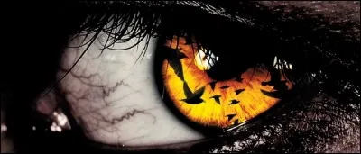 Lequel de ces romans, ayant pour héros un écrivain dont le nom de plume est révélé bien malgré lui à la presse, est le plus autobiographique pour King ?