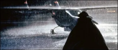 Qu'est le "Rapace nocturne" selon le titre de la nouvelle ?