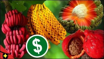 "Les vacances de Mr Bean" est un long-métrage interprété par Emma de Caunes.