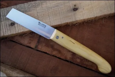 "Violette Nozière" est un film mis en scène par François Truffaut.