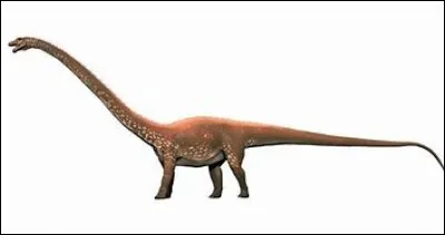 Quelle était la hauteur du diplodocus ?