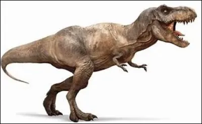 Combien mesurait environ un t-rex adulte ?