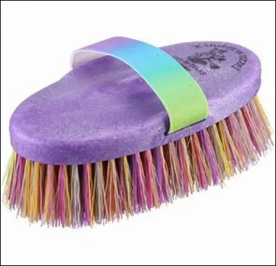 Comment se nomme cette brosse ?